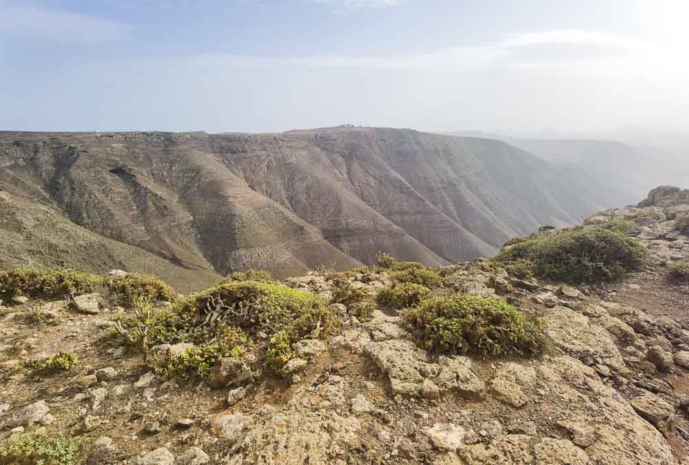 Lanzarote: hiking Risco de Famara: Haría, Tequise