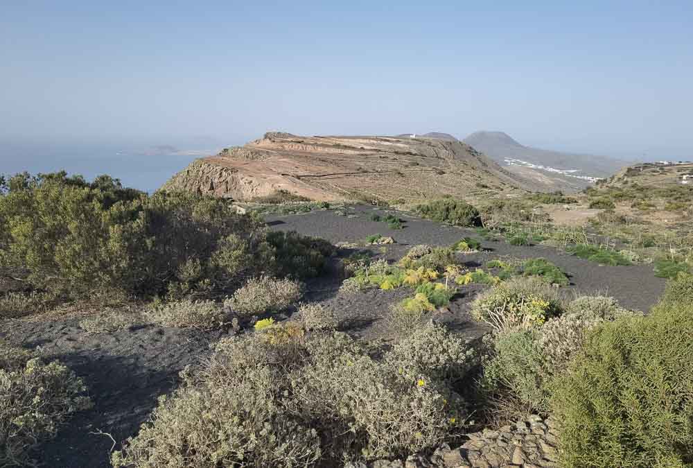 Lanzarote: hiking Risco de Famara: Haría, Tequise