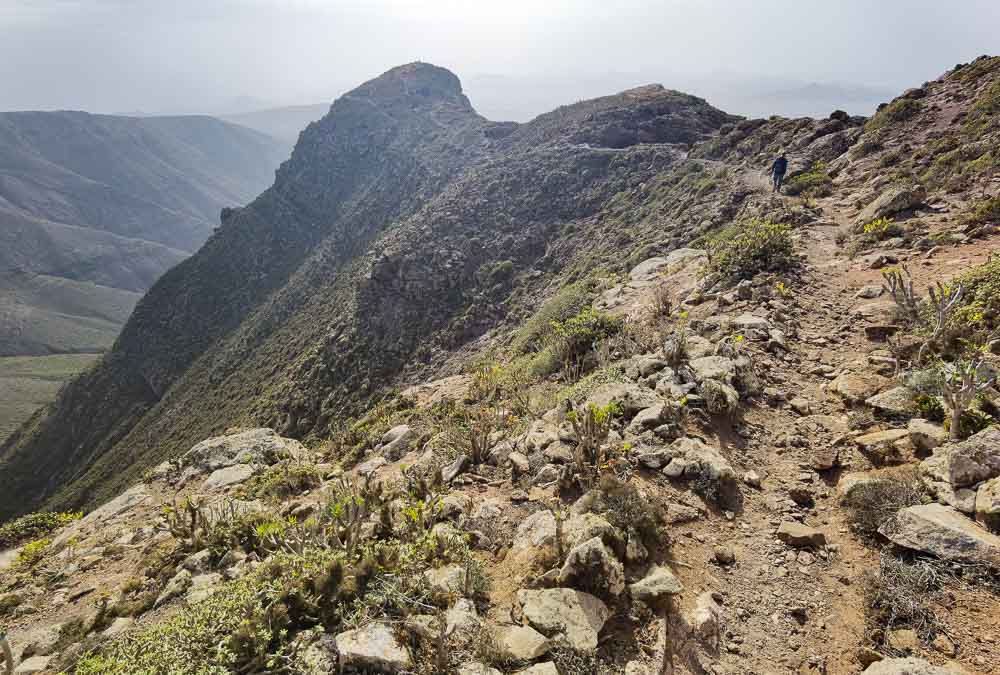 Lanzarote: hiking Risco de Famara: Haría, Tequise