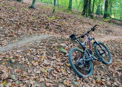 Singletrail 3 jamy MTB Malé Karpaty