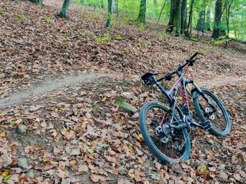 Singletrail 3 jamy MTB Malé Karpaty
