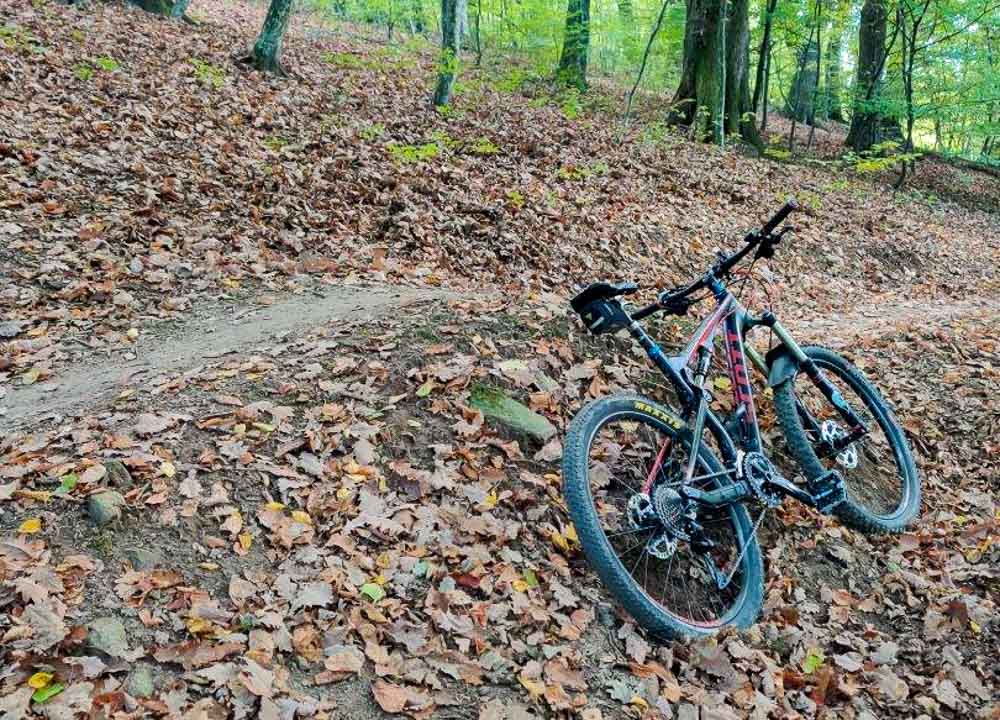 Singletrail 3 jamy MTB Malé Karpaty