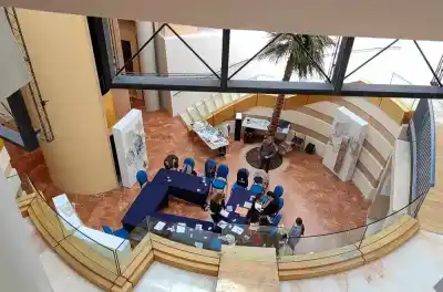 Anatomy of a Viral Landscape Rebecca DiDomenico