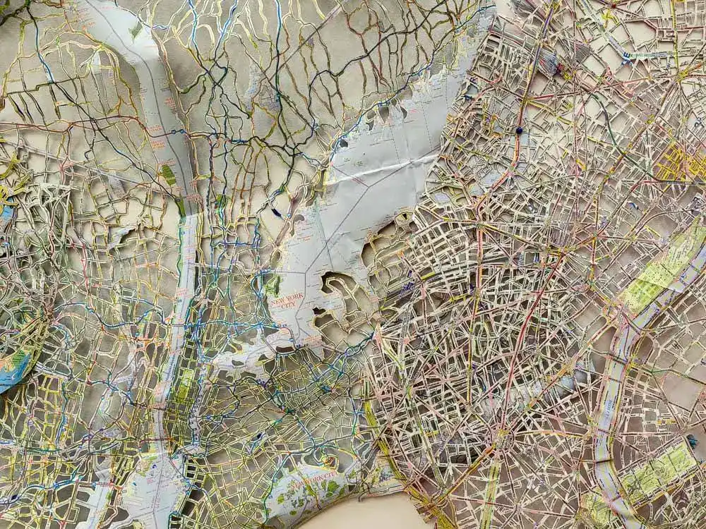 Anatomy of a Viral Landscape Rebecca DiDomenico