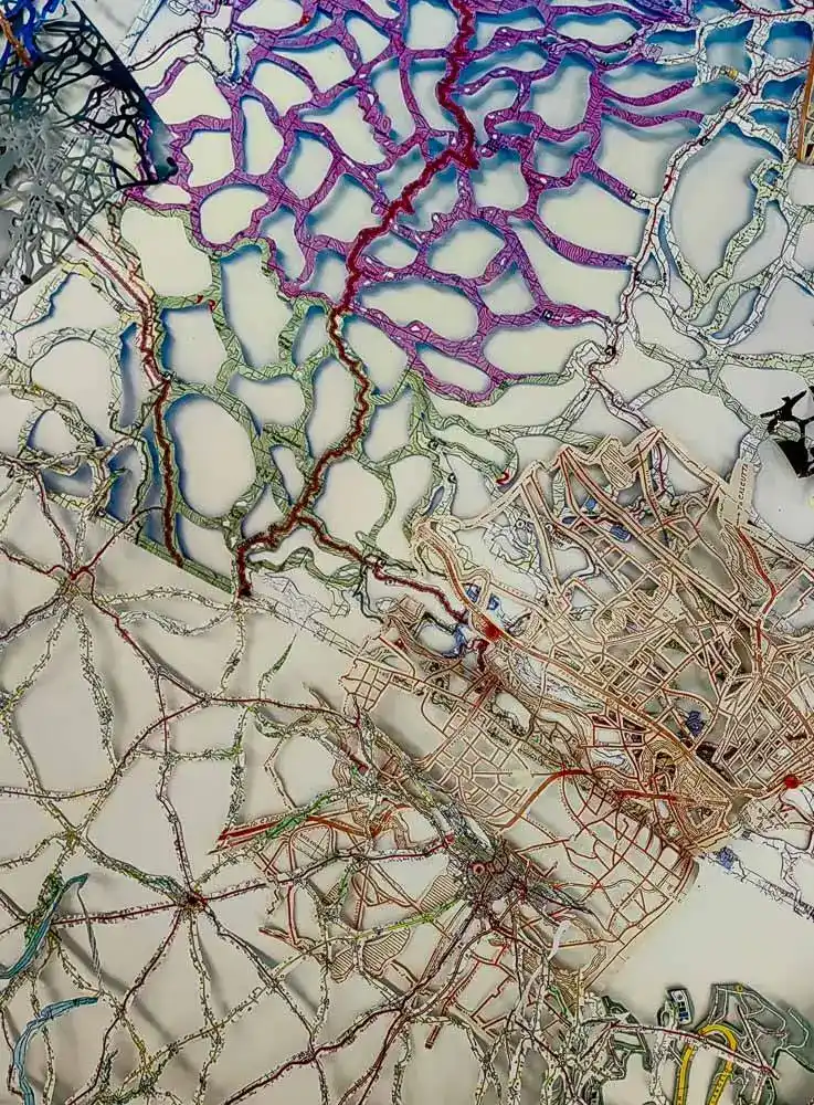 Anatomy of a Viral Landscape Rebecca DiDomenico