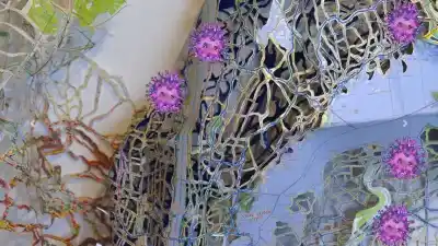 Anatomy of a Viral Landscape Rebecca DiDomenico