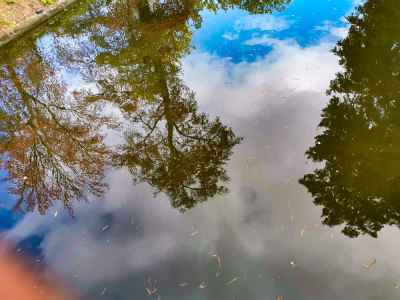 Grand Parc Bordeaux Public Jardin