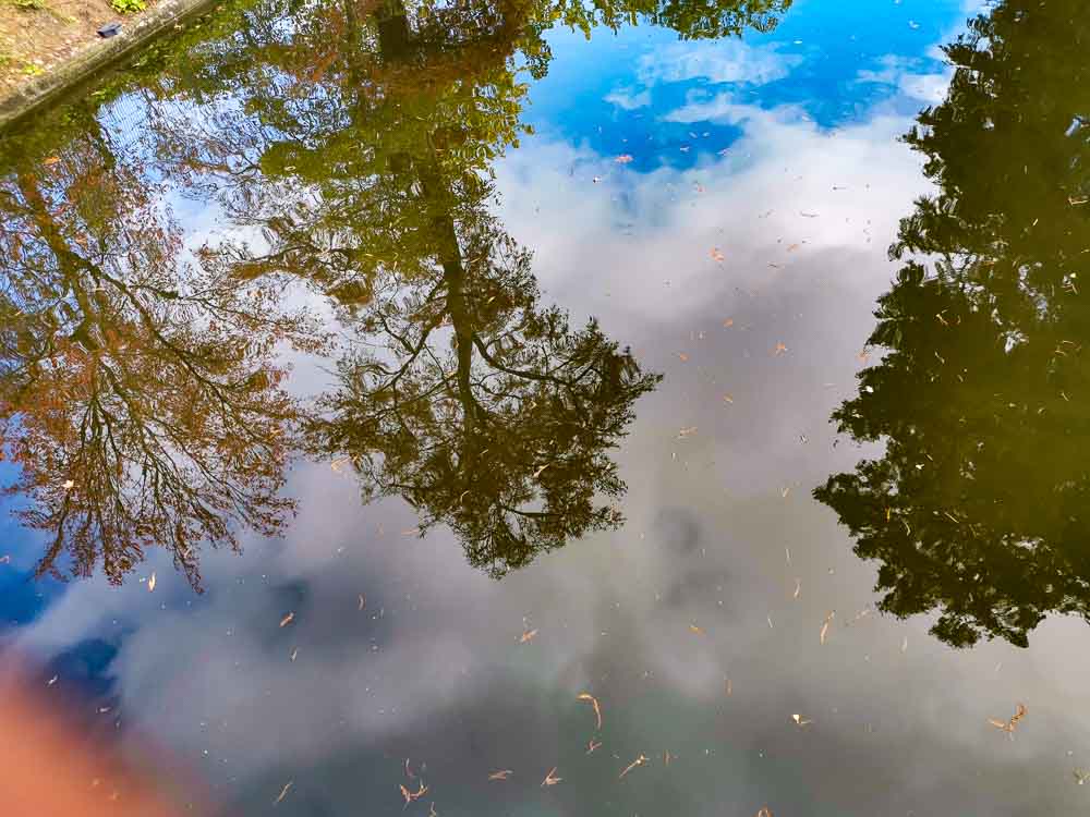 Grand Parc Bordeaux Public Jardin