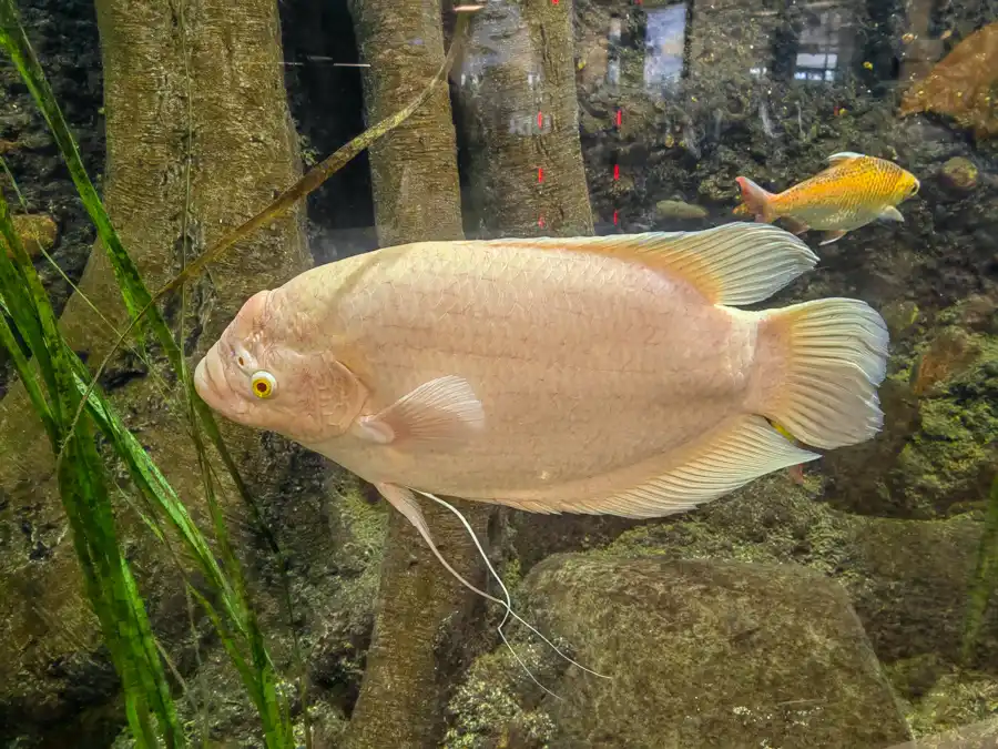 Malta Nationall Aquarium