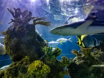 Malta Nationall Aquarium