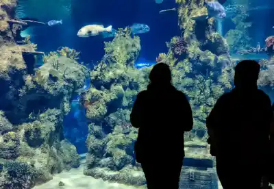 Malta National Aquarium photo Huawei P50 Pro