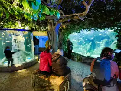 Súčasťou Akvária je i malé terárium