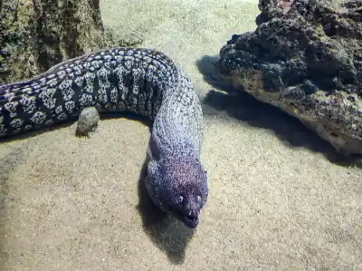 Malta National Aquarium