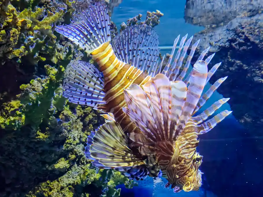 Malta Natl Aquarium