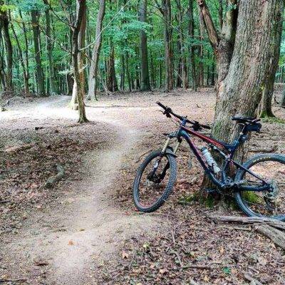 Malokarpatský MTB singel Saláma