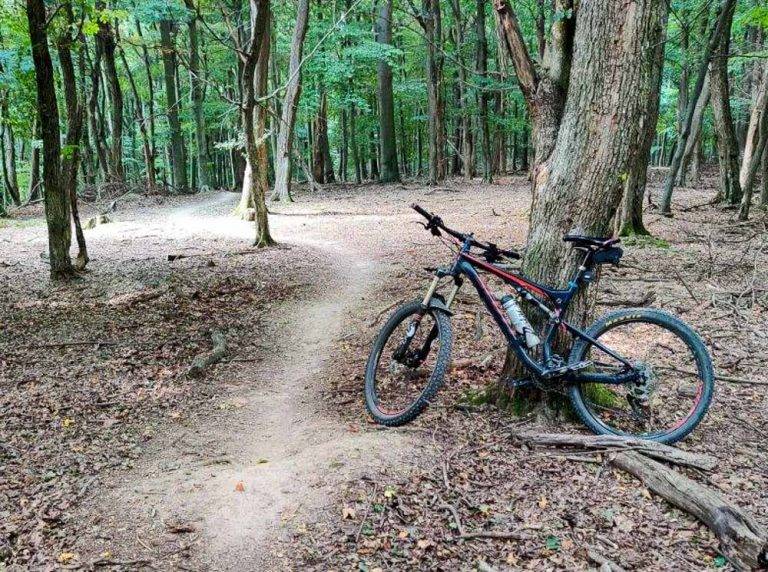 Malé KArpaty singletrail Saláma MTB