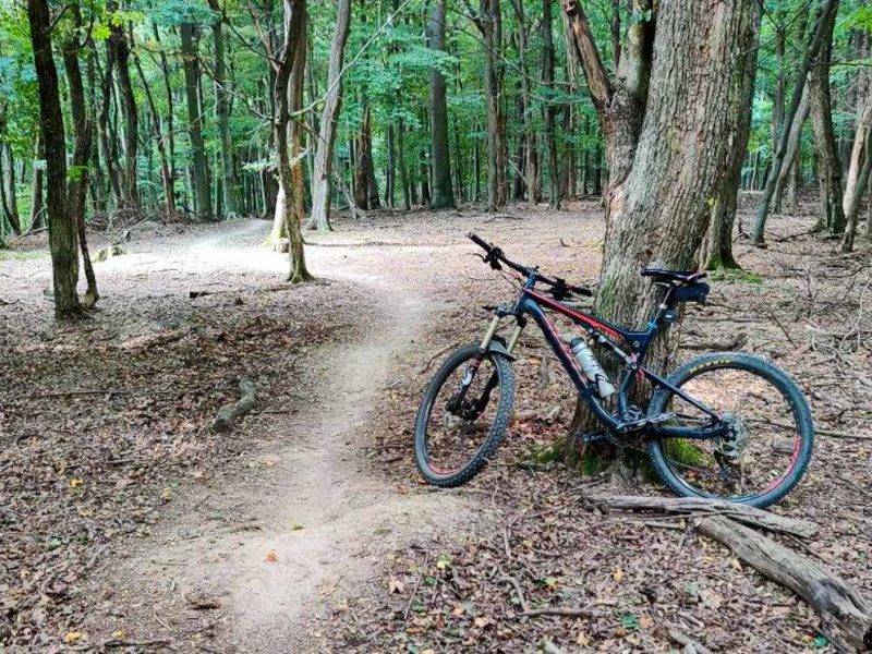 Malé KArpaty singletrail Saláma MTB