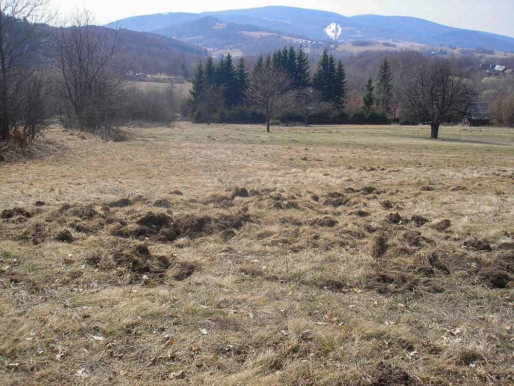 Na novobanské štále po náučnom chodníku Vojšín