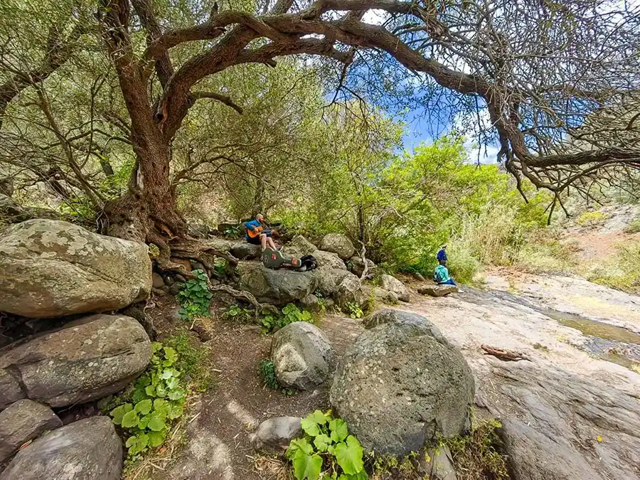 Barranco de Los Cernicalos