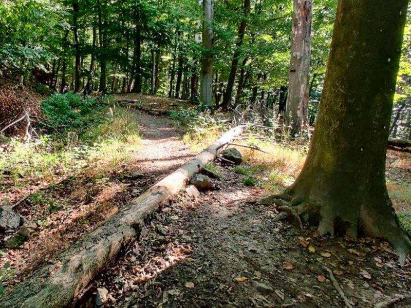 GUDA MTB singletrail Malé Karpaty