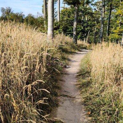 MTB Singletrack Krasňanský – originál