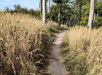 Krasňanský singletrail MTB Malé Karpaty