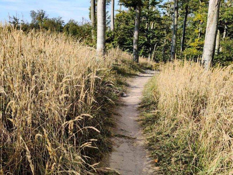 Krasňanský singletrail MTB Malé Karpaty
