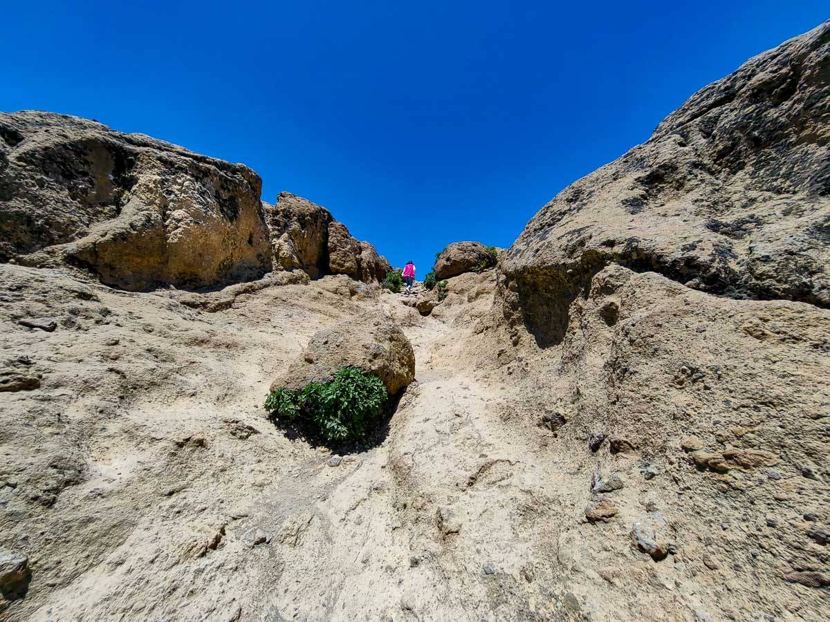 Roque Nublo