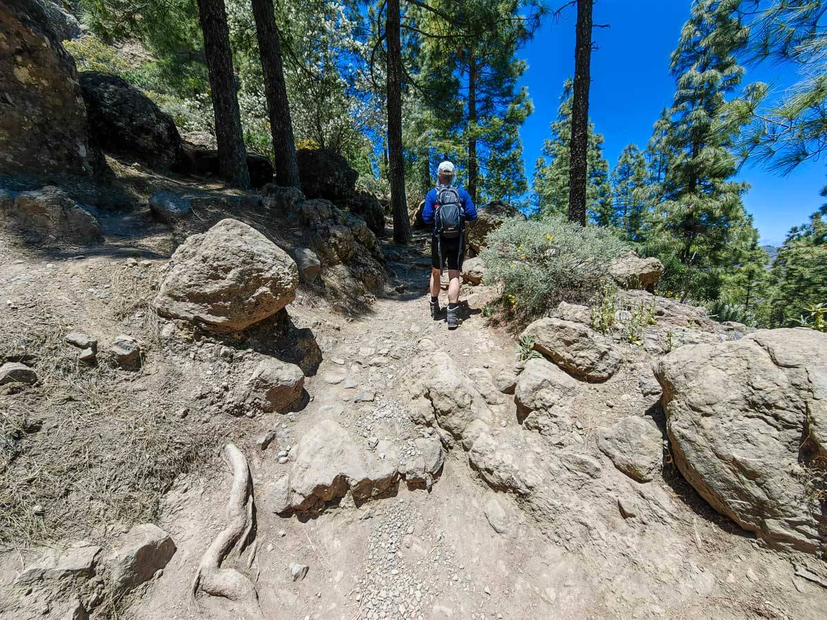 Tejeda Rural Roque Nublo Gran Canaria