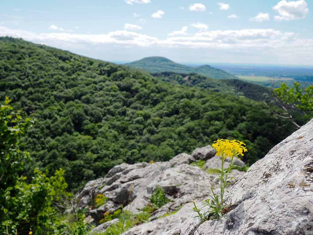 Malé Karpaty Čierna Skala Kršlenica