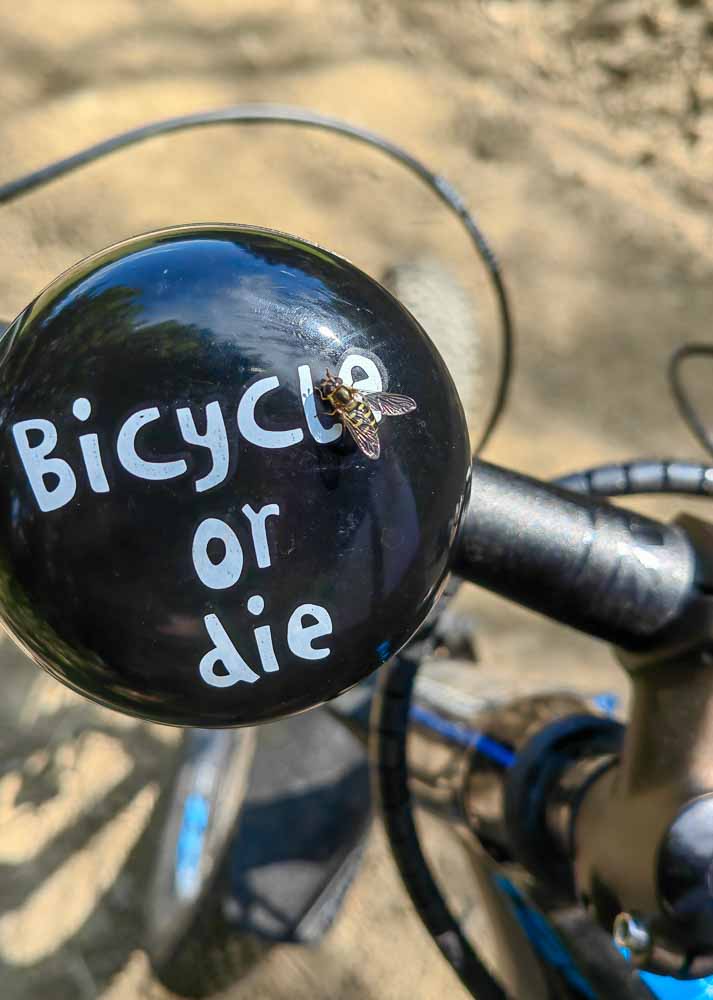 Bicycle or Die