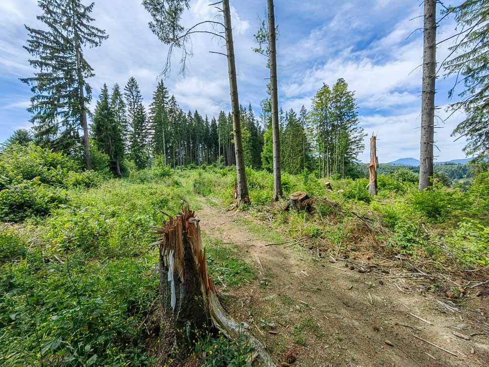 MTB trasa Z Jasenovej na Oravskú Porubu