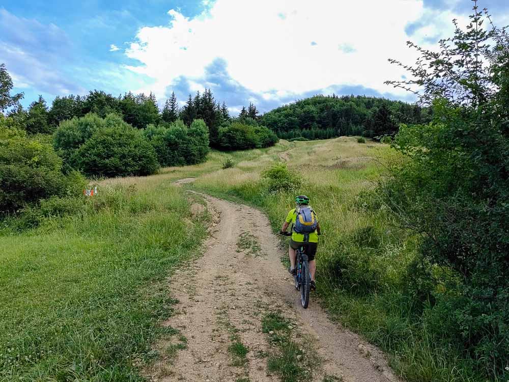 Žaškovské sedlo MTB s pozdravmi od medvedice