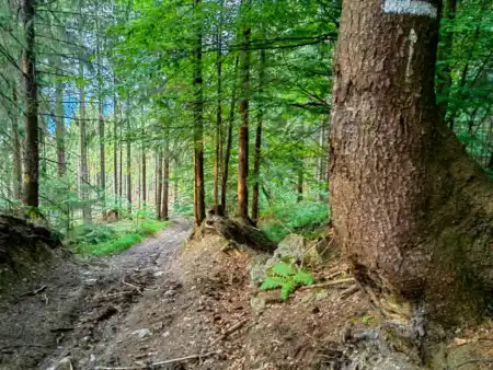 Zostup okolo Mede vdice