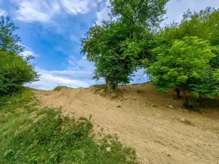 Temer nás ovady zožrali