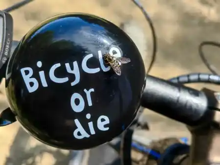 Bicycle or die