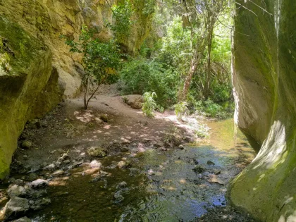 Barranco de Azuaje