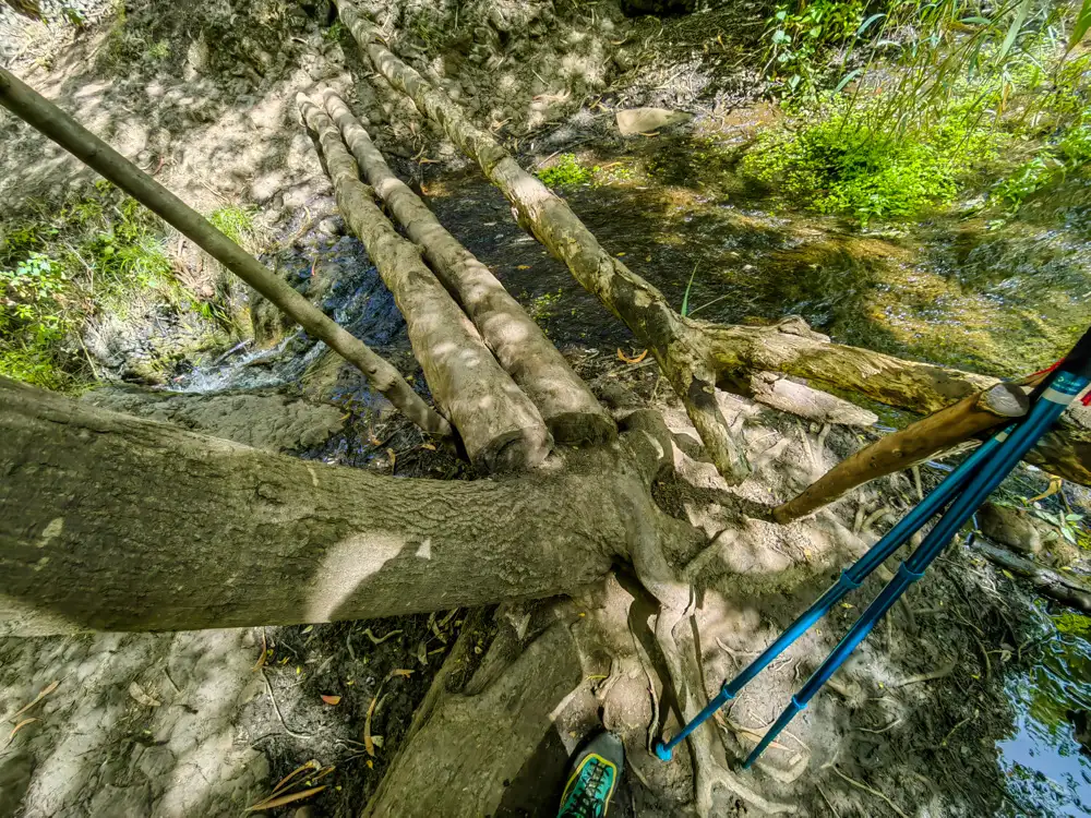 Barranco de Azuaje