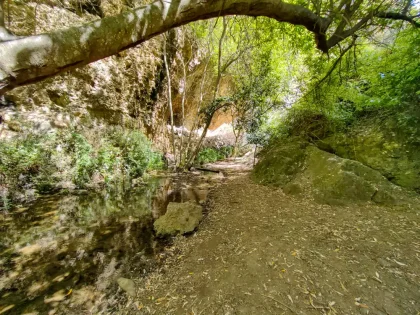 Barranco de Azuaje