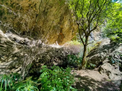 Barranco de Azuaje