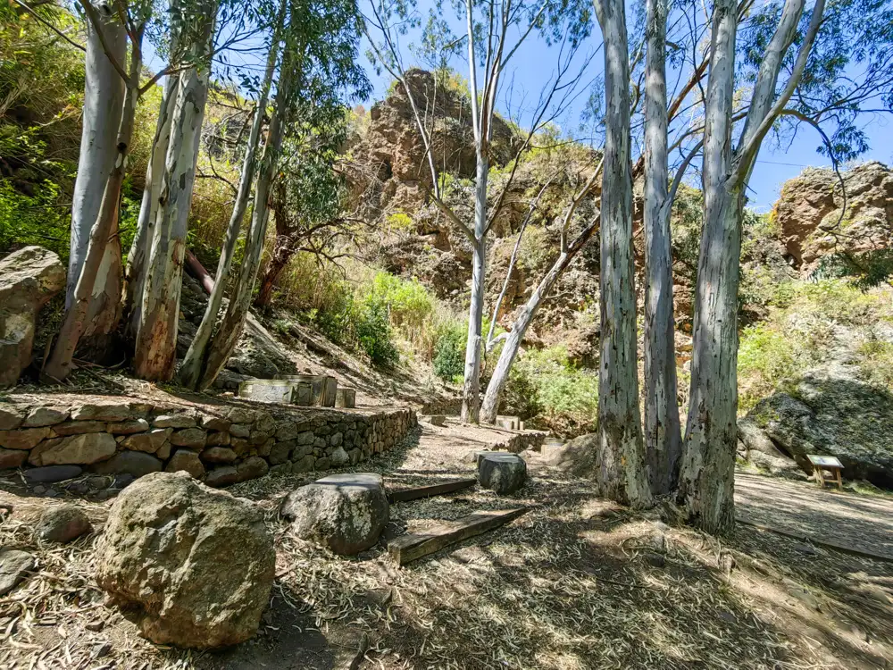 Barranco de Azuaje