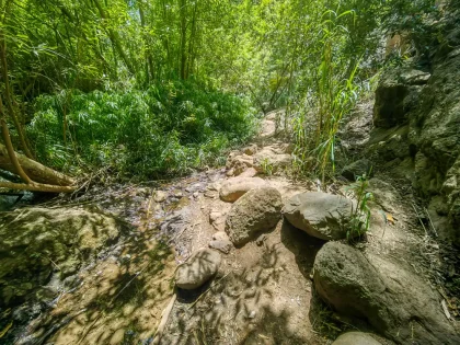Barranco de Azuaje