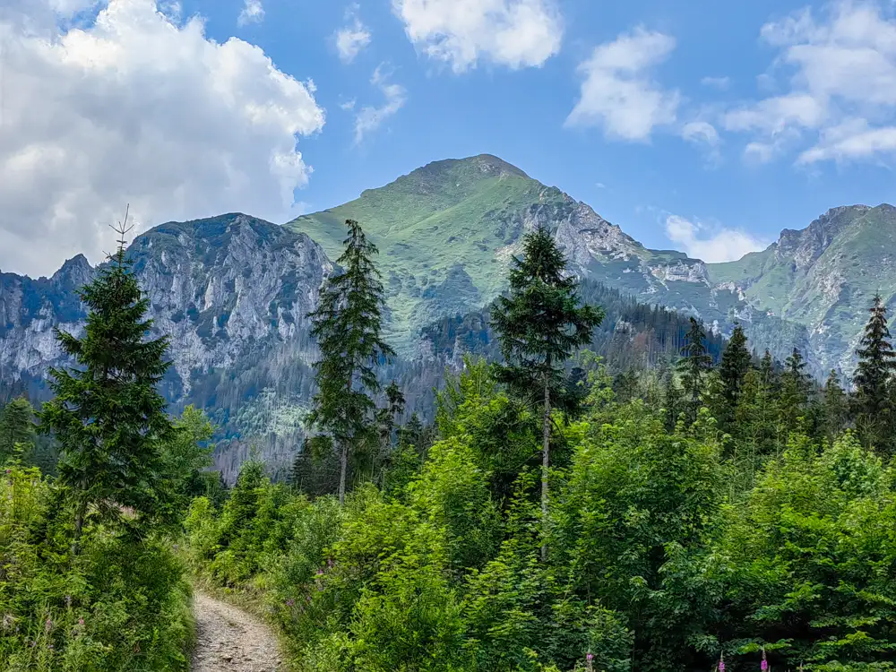 Monkova dolina - turistický chodník na Kopské sedlo