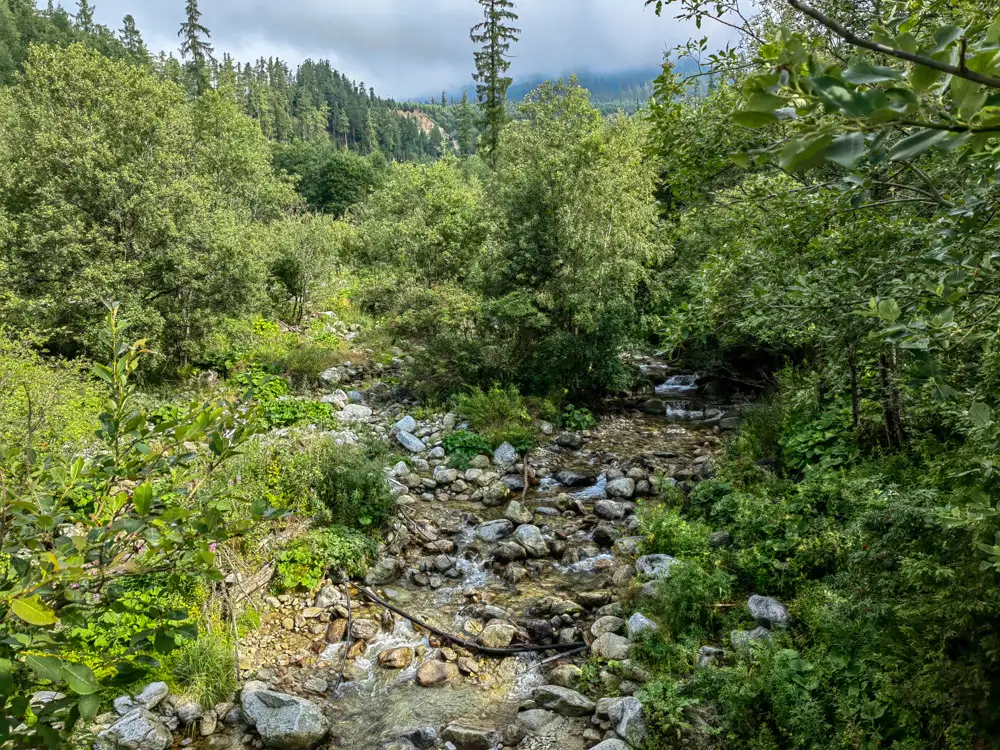 Vysoké Tatry obnova po veternej smršti