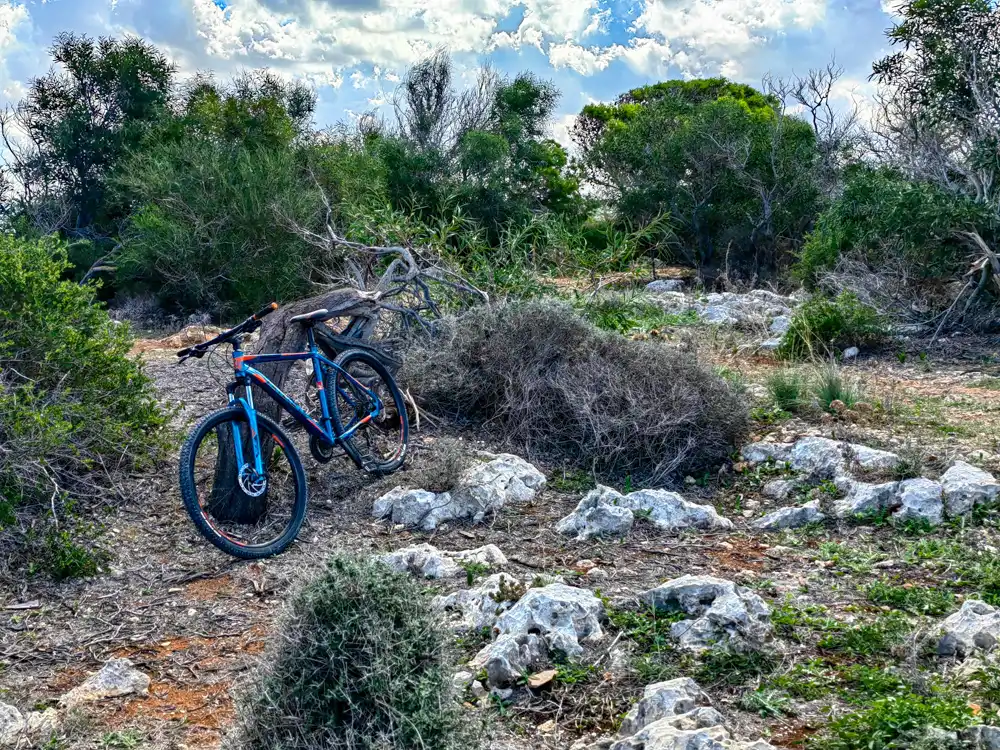 Mellieha cliffs bike