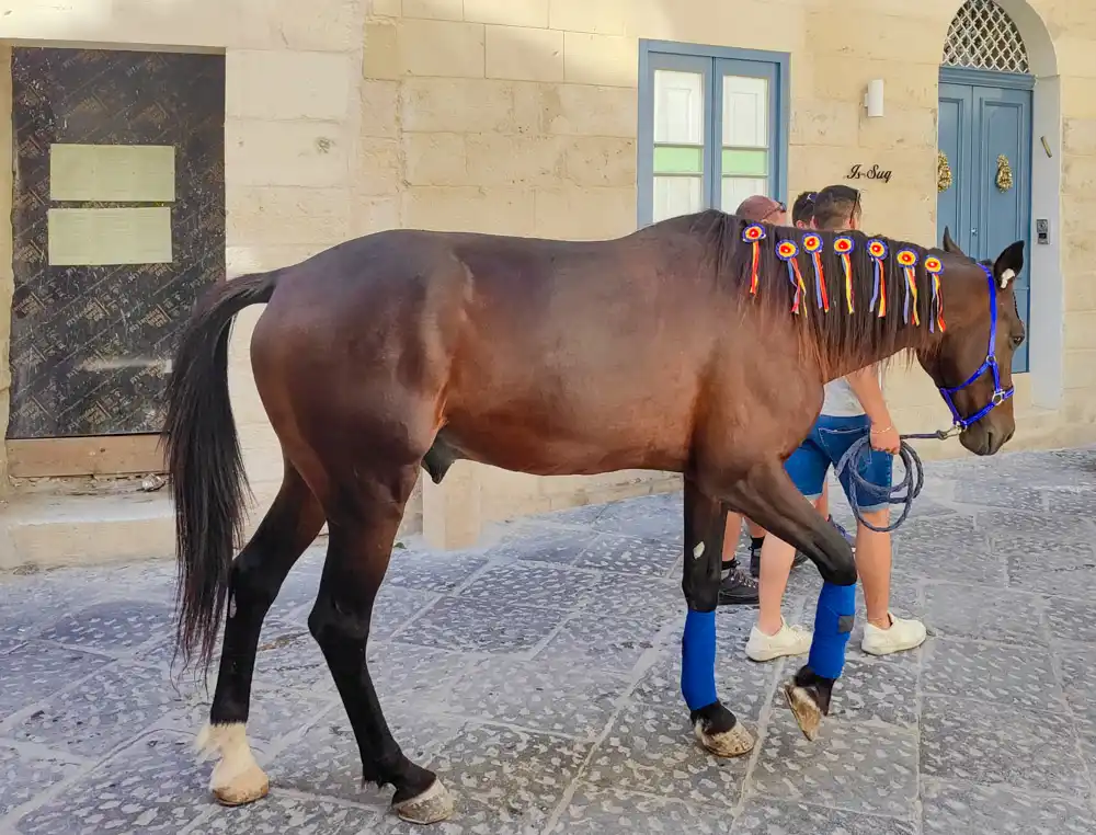 Františkánska procesia Rabat Malta