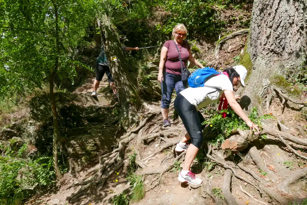 Okolo rybníka vedie pekný turistický vychádzkový chodník