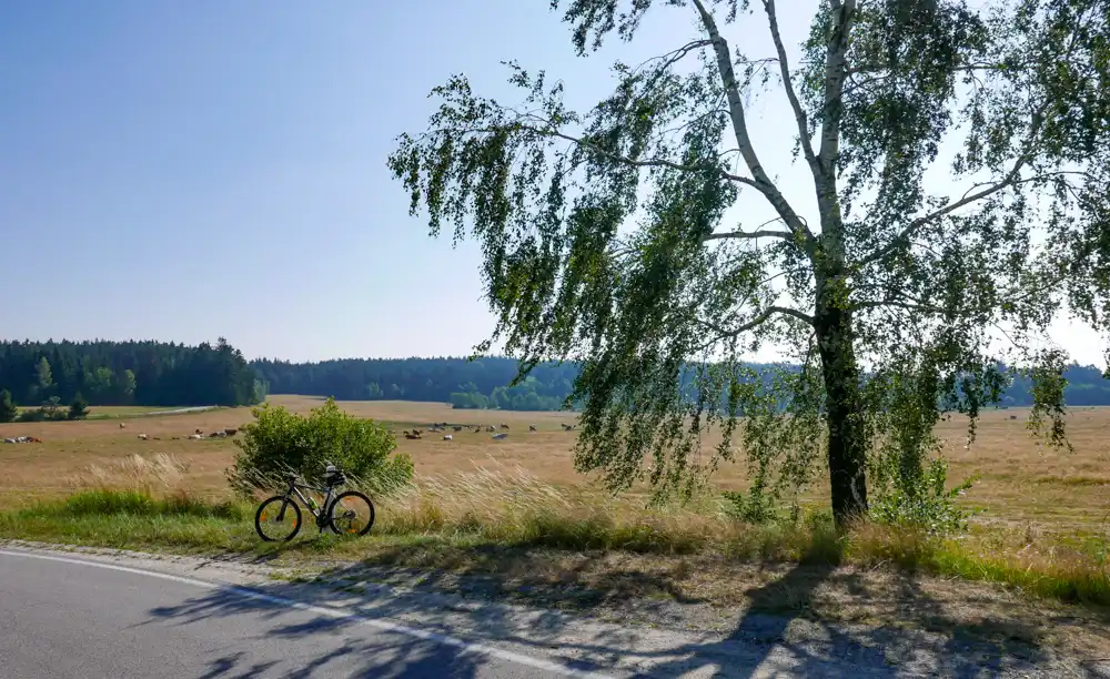 Cez Kunžak na Havlovu horu MTB