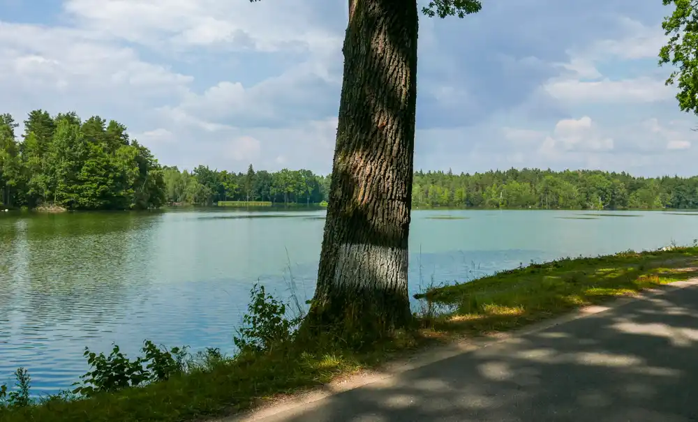 Z Novej Bystřice cez Peršlák na Třeboňsko MTB