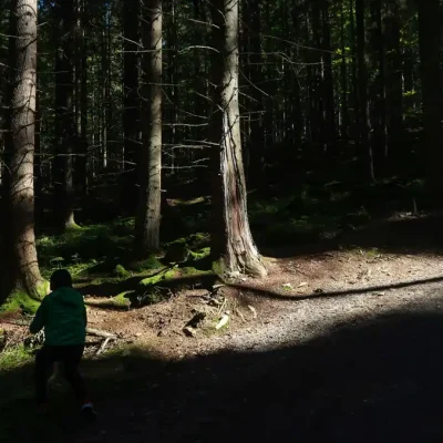 Vlčí stezka, Srní